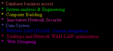 Text Box: *  Database business access*  System analysis & Engineering*  Computer Building*   Innovative Network Security*  Data System   *  Wireless LAN (NLAN)  System integration *   Desktops and Network WAN-LAN optimization*   Web Designing