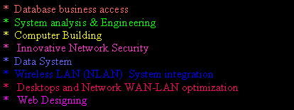 Text Box: *  Database business access*  System analysis & Engineering*  Computer Building*   Innovative Network Security*  Data System   *  Wireless LAN (NLAN)  System integration *   Desktops and Network WAN-LAN optimization*   Web Designing