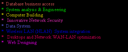 Text Box: *  Database business access*  System analysis & Engineering*  Computer Building*   Innovative Network Security*  Data System   *  Wireless LAN (NLAN)  System integration *   Desktops and Network WAN-LAN optimization*   Web Designing
